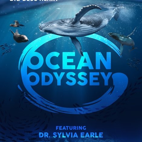Ocean Odyssey