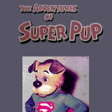 The Adventures of Super Pup