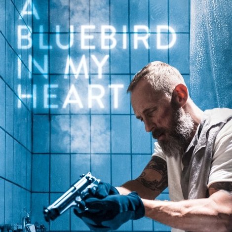 A Bluebird in My Heart