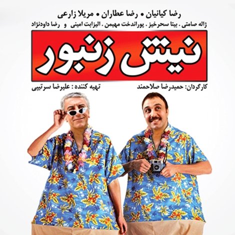 نیش زنبور