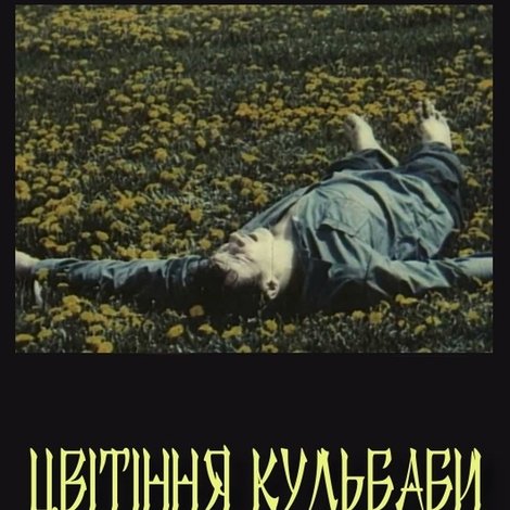 Цвітіння кульбаби