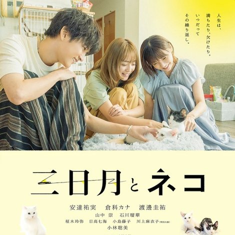 三日月とネコ