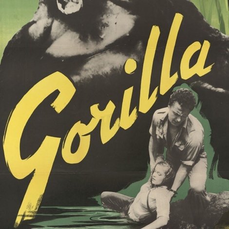 Gorilla