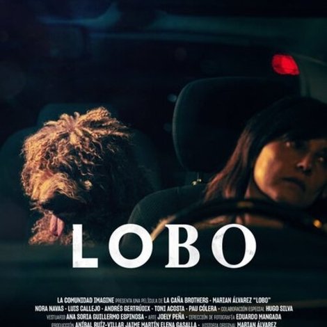 Lobo