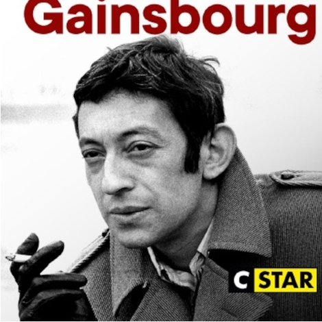 La Story de Serge Gainsbourg : Le Punchliner