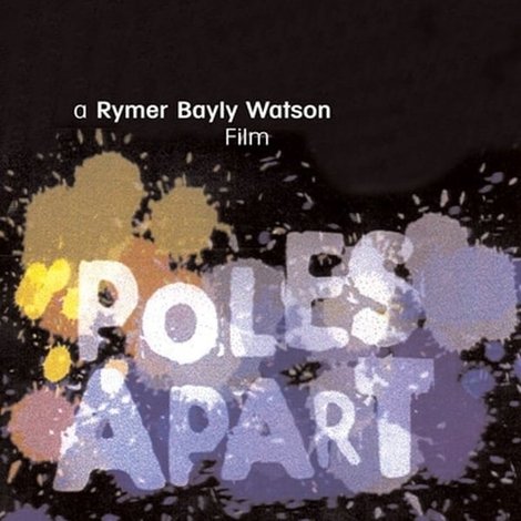 Poles Apart: The Blue Poles Controversy