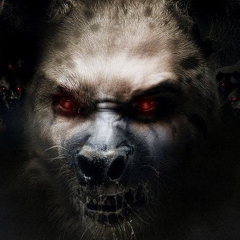 Hyenas