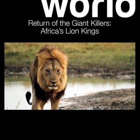 Return of the Giant Killers: Africa's Lion Kings