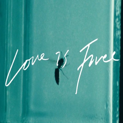 Love is Free