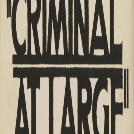 A Criminal at Large