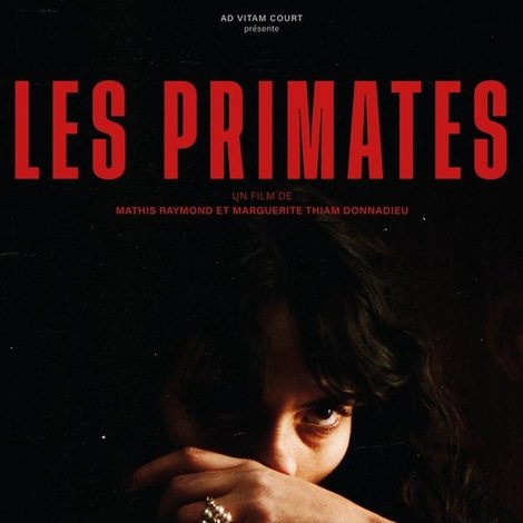 Les primates