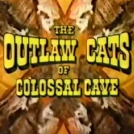 The Outlaw Cats of Colossal Cave