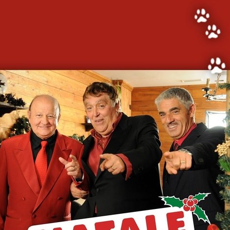 Natale a 4 zampe