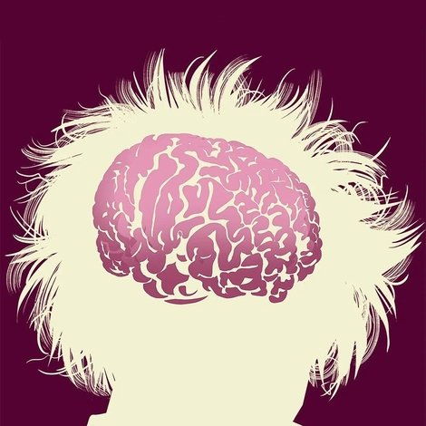 The Man Who Stole Einstein's Brain