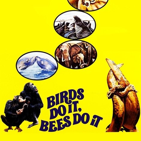 Birds Do It, Bees Do It