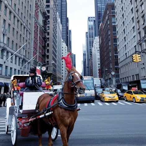 The Last Horsemen of New York