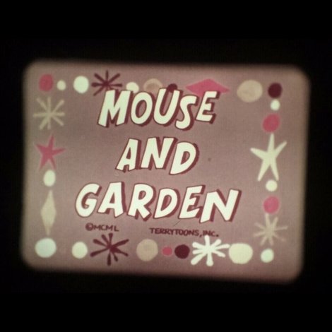 Mouse and Garden
