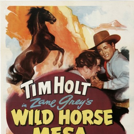 Wild Horse Mesa