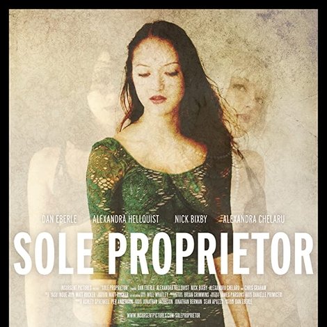 Sole Proprietor