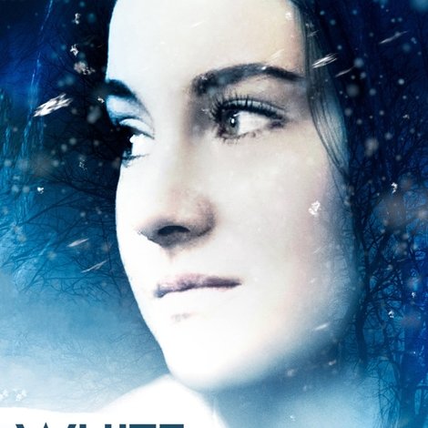 White Bird in a Blizzard