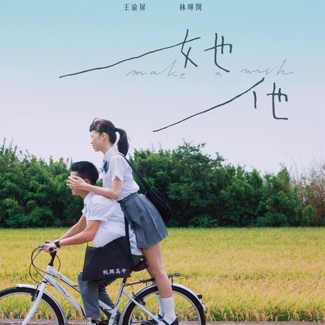 她他
