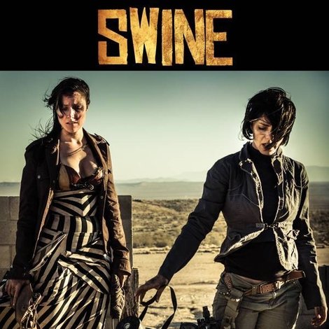 Swine