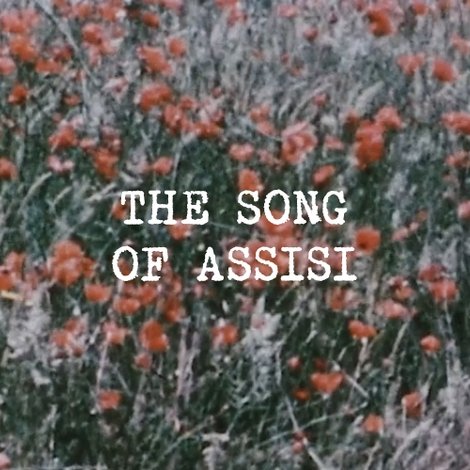 The Song of Assisi