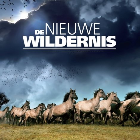 De Nieuwe Wildernis