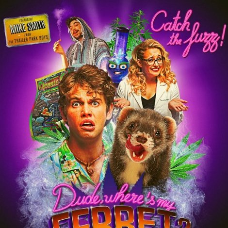 Dude, Where's My Ferret?