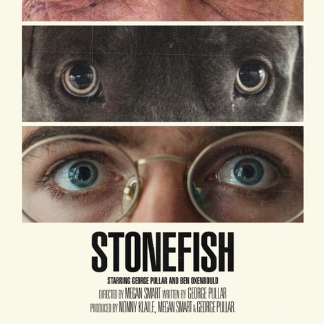 Stonefish