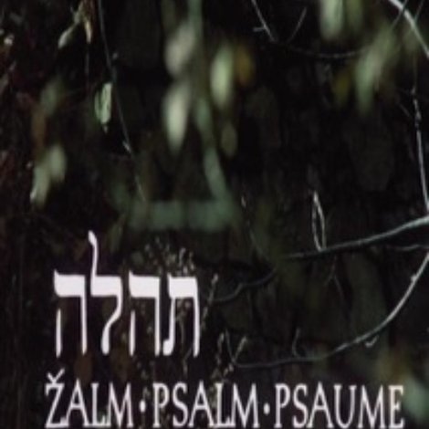 Žalm