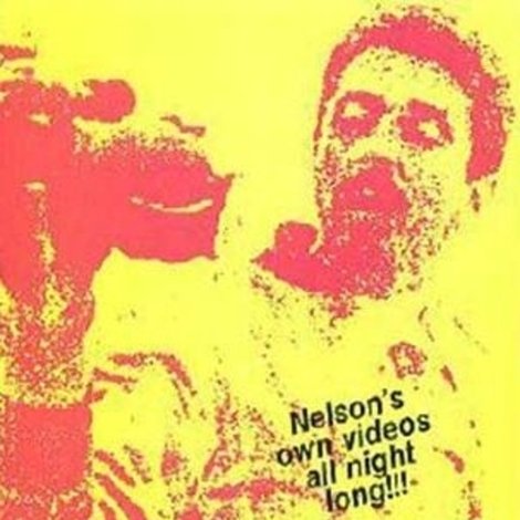 Nelson Sullivan's Video Diaries