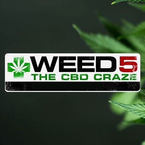WEED 5: The CBD Craze