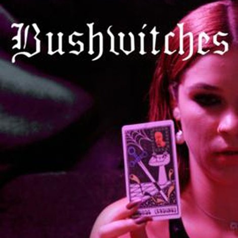 Bushwitches