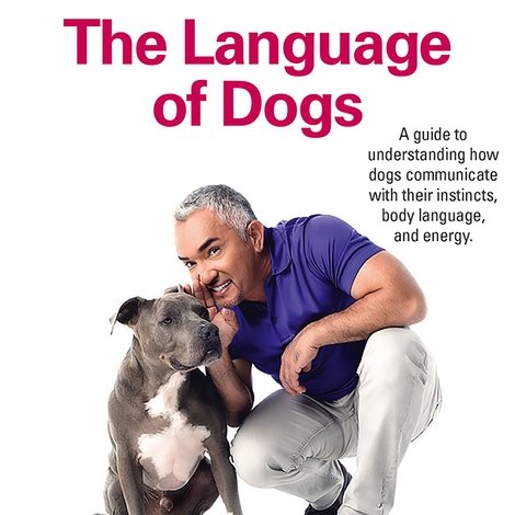 Essentials of Dog Behavior: The Language of Dogs
