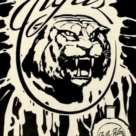 Tigris