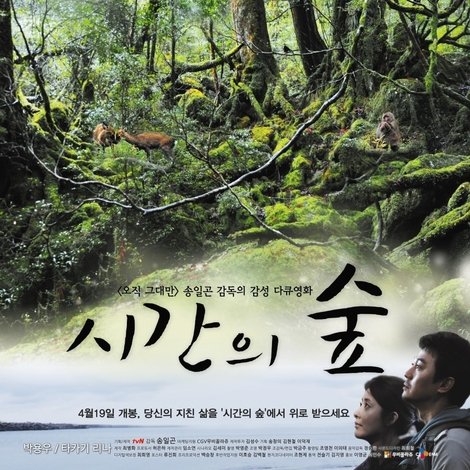 시간의 숲