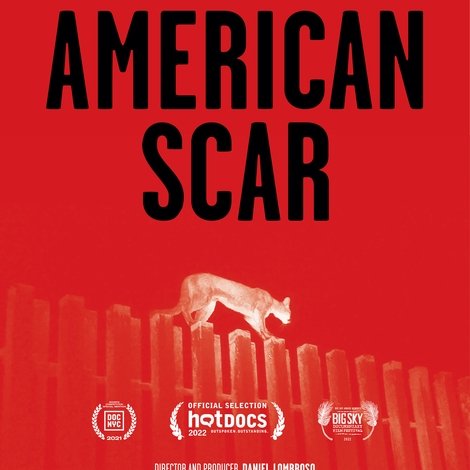American Scar