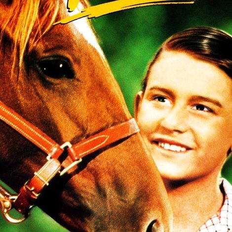 My Friend Flicka