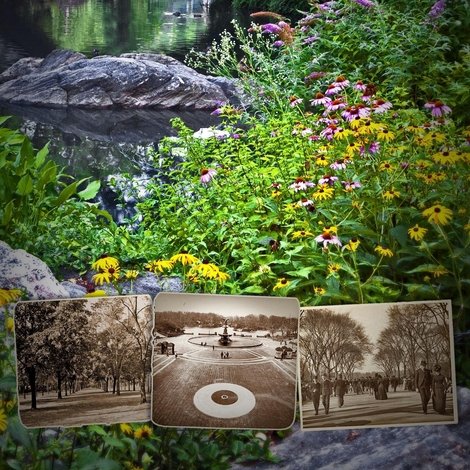 Frederick Law Olmsted: Designing America