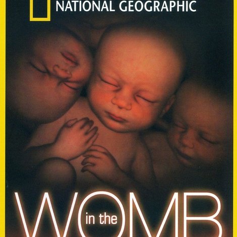 In the Womb: Multiples