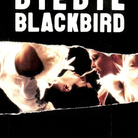 Bye Bye Blackbird