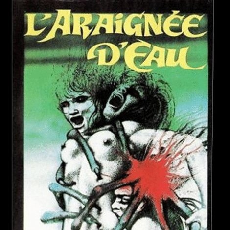 L'araignée d'eau