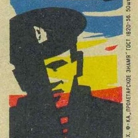 Если позовет товарищ