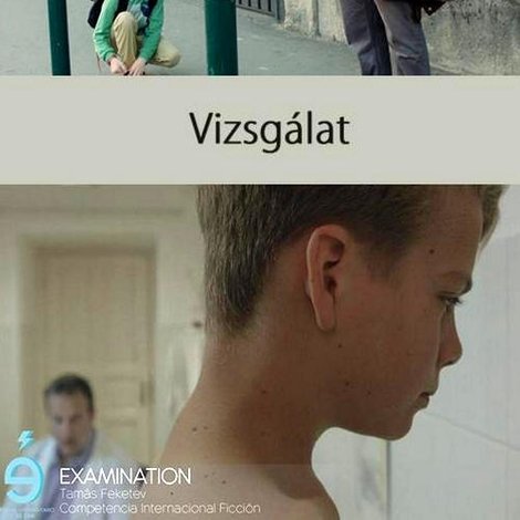 Vizsgálat