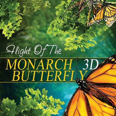The Incredible Journey of the Monarch Butterfly