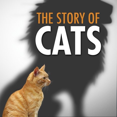 The Story of Cats
