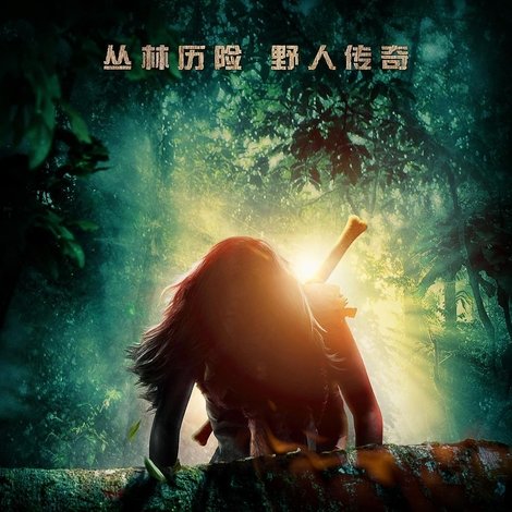森林孤影