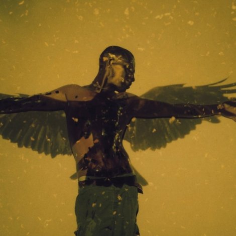 Golden Eagle