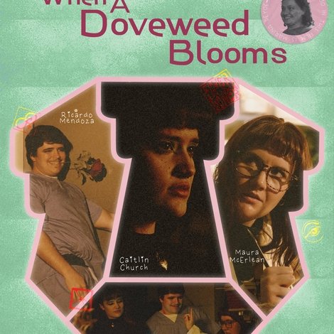 When A Doveweed Blooms